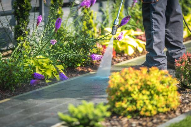 Best Soft Washing for Delicate Surfaces in Hooper, UT